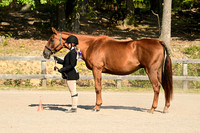 AJB_0399