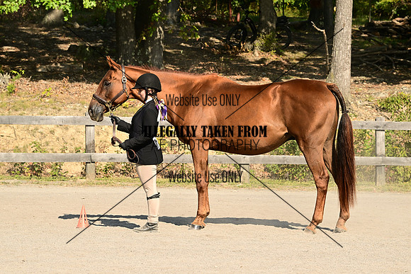 AJB_0399