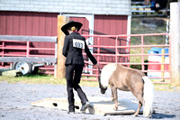 AJB_0939