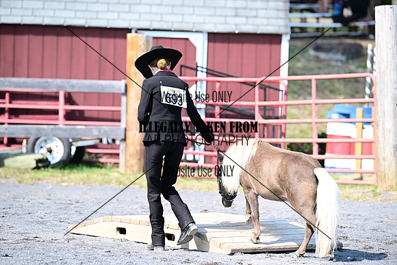AJB_0939