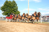 AJB_0551