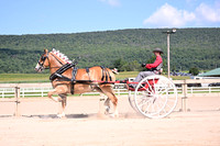 AJB_4873