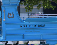 A&C Belgians LLC