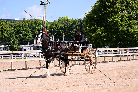 AJB_4952