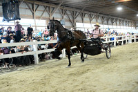 AJB_0748