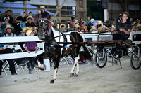 AJB_0962