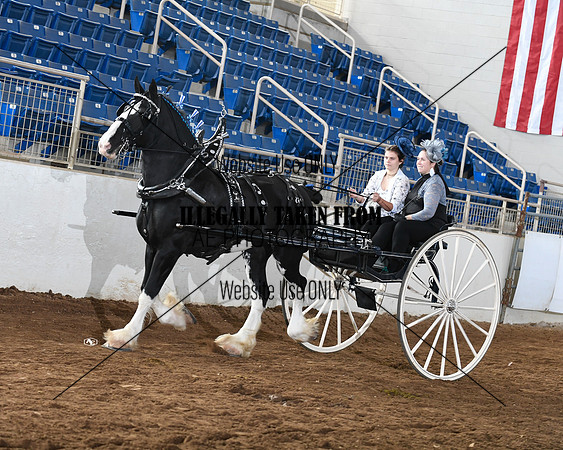 shires_6068