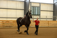 Halter-13