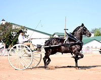 HCR_4453