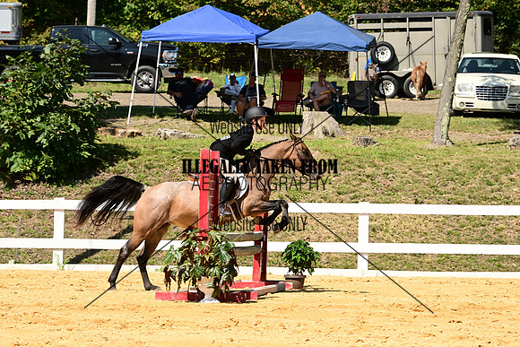 AJB_0641
