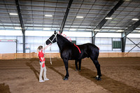 AJB_4318