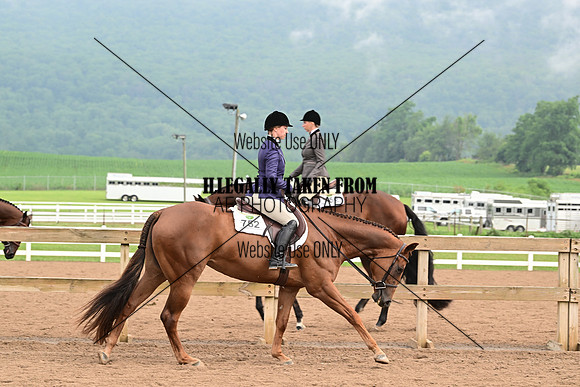 AJB_6218