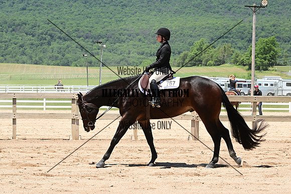 ASH_4951