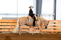 63. Amateur Western Pleasure
