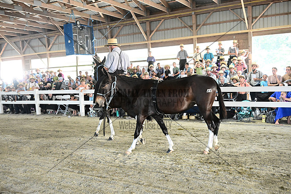AJB_0197