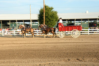 Four Horse Hitch_Amateur_youth-1