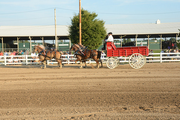 Four Horse Hitch_Amateur_youth-1