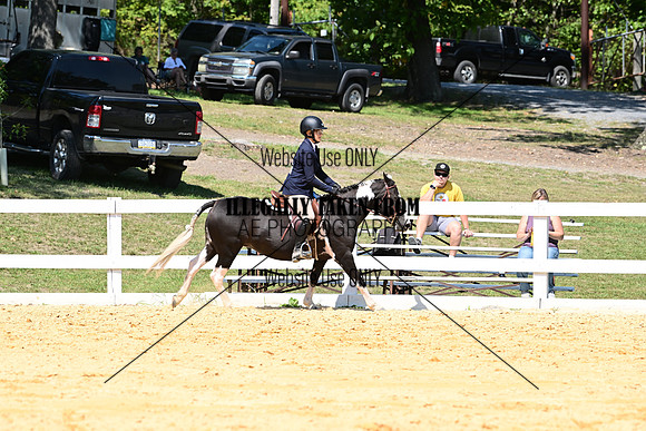 AJB_0788