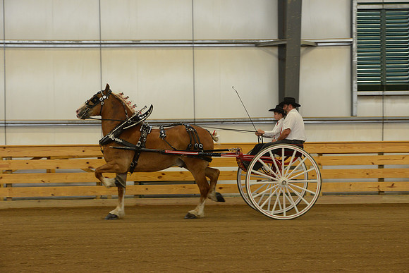 Jr. Youth Cart-2