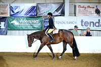 Level 1 Youth Hunter Under Saddle