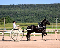 HCR_4473