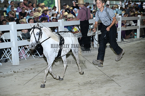 AJB_0881
