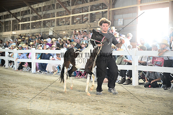 AJB_0344