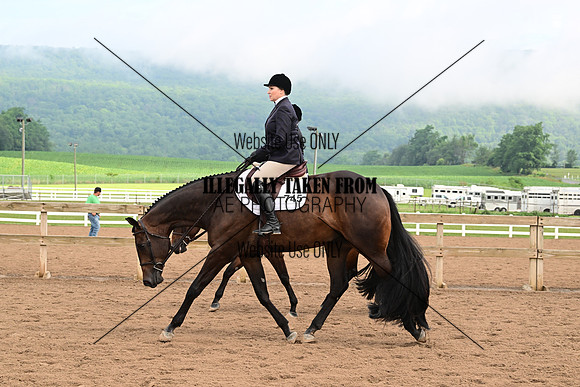 AJB_6327
