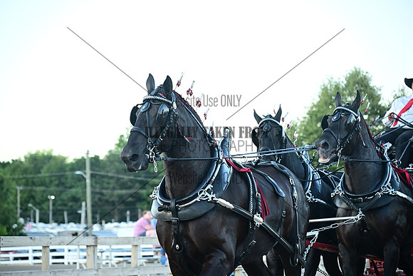 AJB_9177