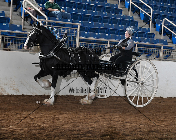 Shires_5790