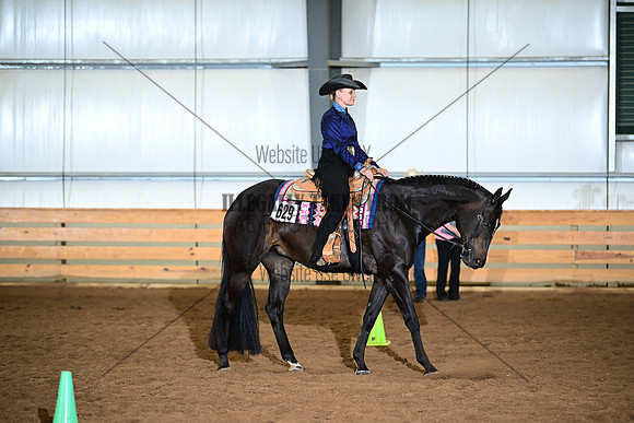 AJB_7993
