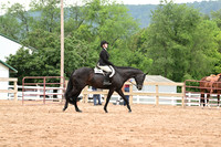 AJB_6959