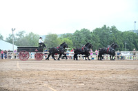 AJB_0616