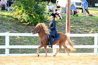 AJB_1633