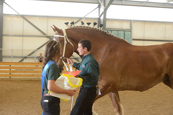 Sr. Youth Showmanship-23