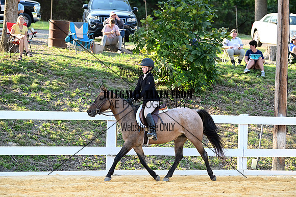 AJB_1519