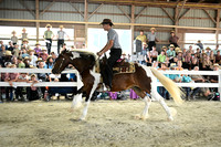 AJB_0535