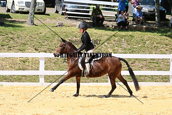 AJB_0819