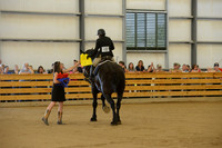 Open Riding English_wtc-15