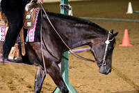 ASH_1137