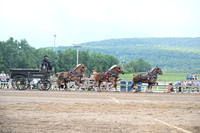 AJB_0615