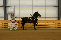 Sr. Youth Cart-13
