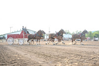 AJB_0487