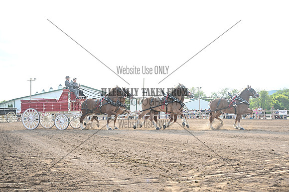 AJB_0487