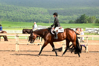 AJB_6544