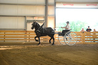Men’s Cart_percherons-10