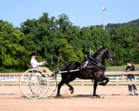 HCR_4472