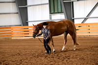 214. Level 1 Youth Aged Geldings
