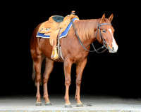 Chex_PSU2_4225