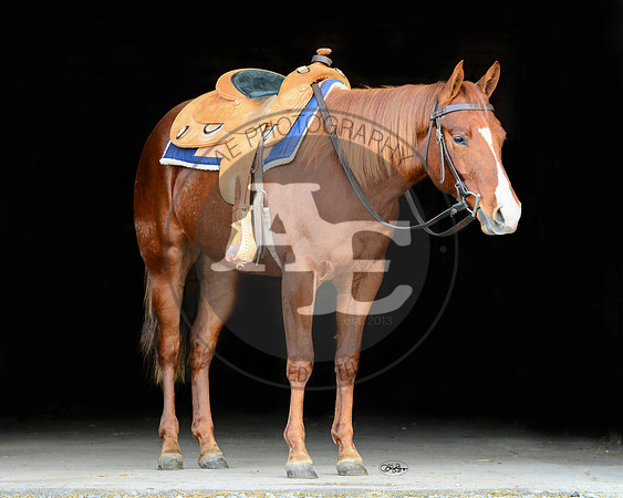 Chex_PSU2_4225